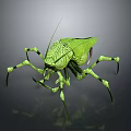 Green Flying Grasshopper with Slender Legs Detailed Body Texture Transparent Wings on Gray Background