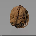 Single Natural Brown Whole Walnut With Textured Shell On Dark Reflective Background 3d model
