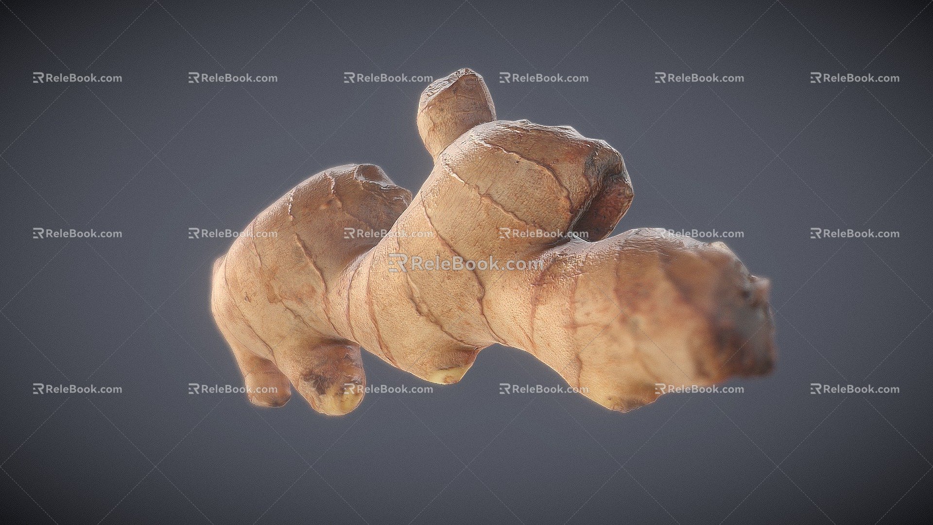 Modern Vegetable Ginger Scan 3d model