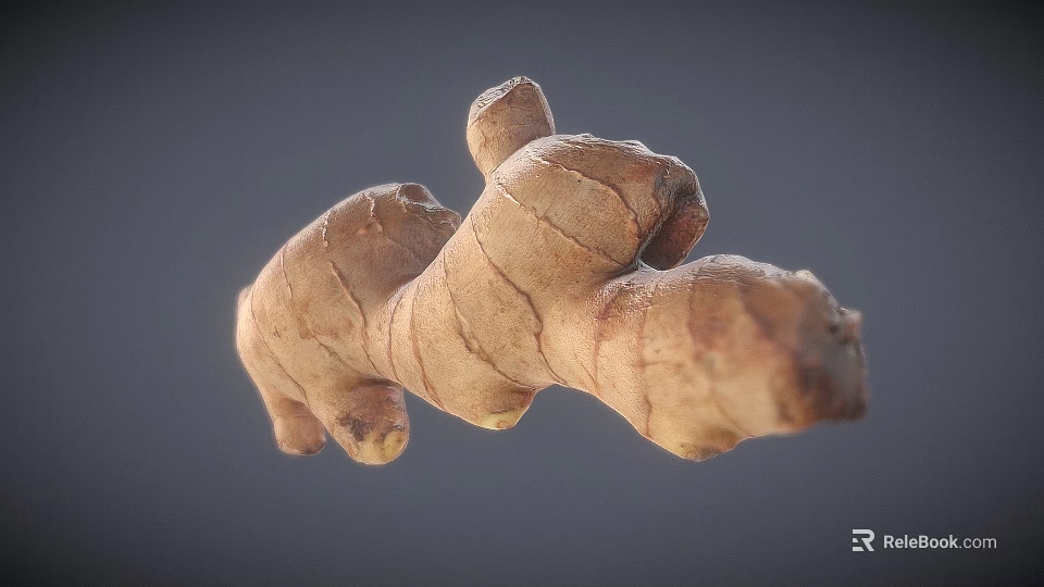 Fresh Organic Ginger Root Vegetable with Natural Skin and Raw Texture 3d model 