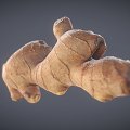 Modern Vegetable Ginger Scan 3d model