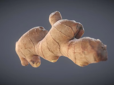 Fresh Organic Ginger Root Vegetable with Natural Skin and Raw Texture 3d model