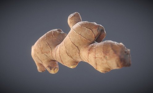 Modern Vegetable Ginger Scan 3d model