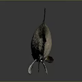 Silver Fish with Shiny Body Black Fins Prominent Eyes and Reflection on Gray Background