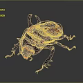 Rhinoceros Beetle With Large Curved Horns And Shiny Dark Exoskeleton On Gray Background