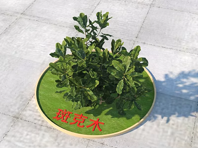 Banksia Bush Planted in Circular Green Base with Red Characters on Gray Pavement 3d model
