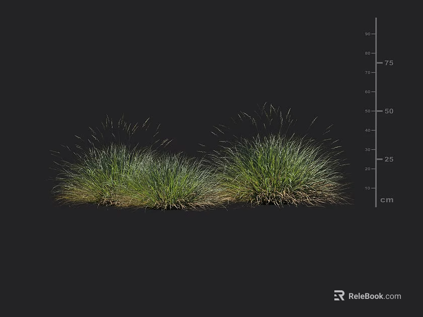 Two Lush Green Shrubs With Natural Foliage Growth On Black Display Background 3d model 