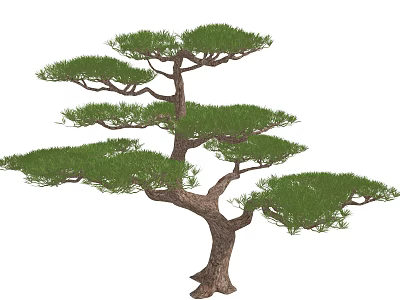 Arbor Featuring Lush Green Foliage And Elegant Branch Structure In Outdoor Garden 3d model