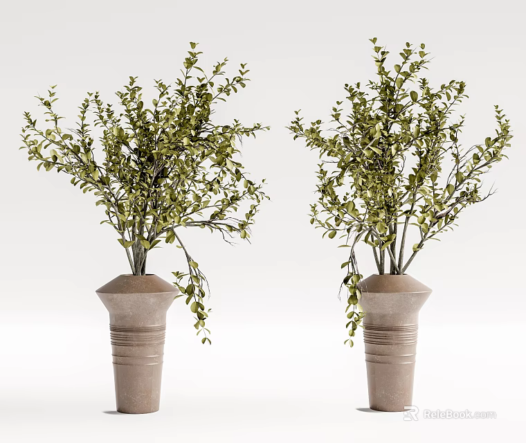 Elegant Ceramic Vases With Striped Design And Green Lush Foliage Plants 3d model 