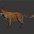 Cute Young Fox 3D Model With Orange Fur And White Chest Standing Pose