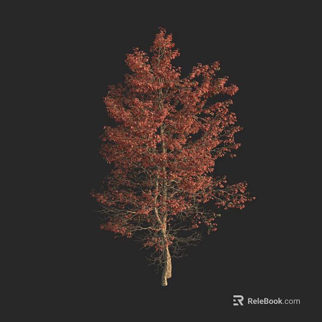 Tall Autumn Tree With Vibrant Red Leaves Against Black Background 3d model 