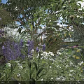 Flowering Shrubs in a Lush Garden with Purple White Blooms Green Foliage and Companion Plants