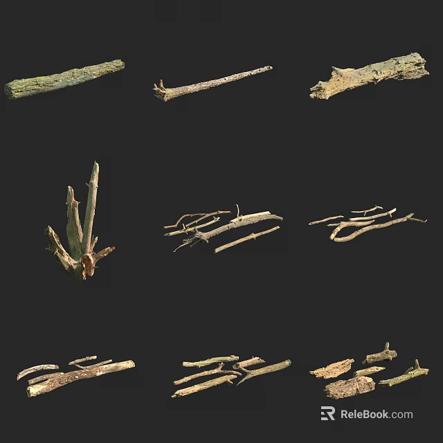 Natural Arbor Branches With Various Shapes And Woody Structures On Black Background 3d model