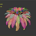 Pink Dahlia Flower With Vibrant Petals In Full Bloom Against Gray Background
