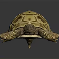 Yellow Brown Tortoise With Detailed Shell Pattern And Scaly Limbs On Dark Background 3d model