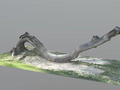 Natural Curved Wooden Log with Organic Shape on Grass Covered Ground 3d model