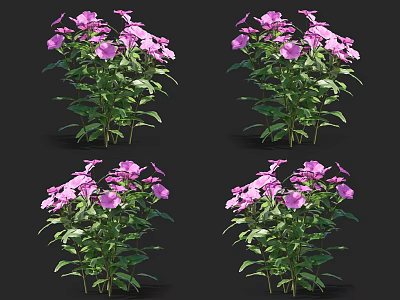 Vibrant Purple Flowering Plants With Lush Green Leaves And Fresh Blooms 3d model