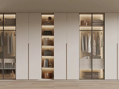 Modern Wardrobe Interior Design With Lighting Clothing Bags Storage 3d model