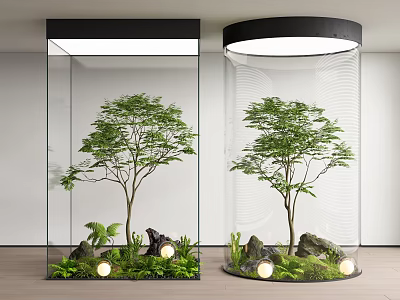 Indoor Landscape With Transparent Glass Containers Trees Stones Green Plants And Small Lights 3d model