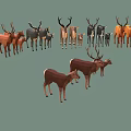 Group of Deer with Various Sizes Antlers and Fawns in Natural Scene