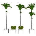 Tree 3d model