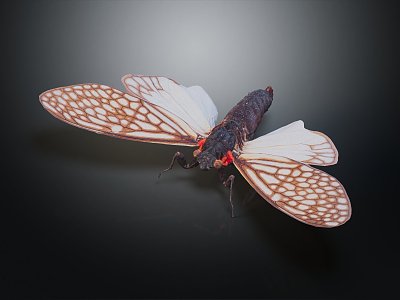 modern moth 3d model