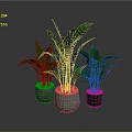 Leafy Green Plants in Three Different Colored Pots on Gray Surface