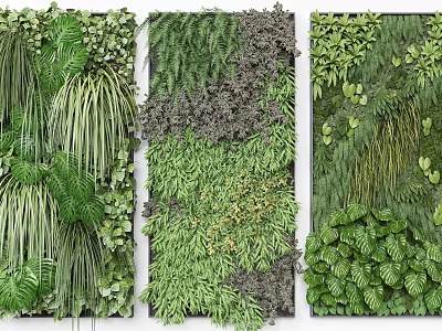 Elegant Green Plant Wall with Different Plant Species Vertical Garden Design for Indoor Decor 3d model