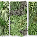 Elegant Green Plant Wall with Different Plant Species Vertical Garden Design for Indoor Decor