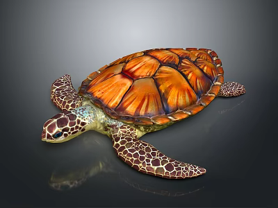 Colorful Sea Turtle with orange and brown patterned shell on black background and shiny reflection 3d model