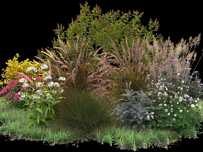 Ornamental Shrubs with Colorful Flowers and Decorative Grasses in Garden Landscape Design 3d model