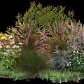 Ornamental Shrubs with Colorful Flowers and Decorative Grasses in Garden Landscape Design