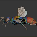 Detailed Vibrant Rainbow Colored Insect With Transparent Wings On Dark Background