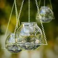 Clear Glass Hanging Planter With Green Plants Small Stones And Chain For Home Decor