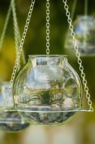Clear Glass Hanging Planter With Green Plants Small Stones And Chain For Home Decor 3d model