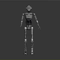 Silver Metallic Humanoid Robot With Mechanical Joints And Standing Pose