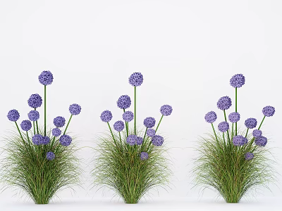 Decorative Plant Combination With Purple Round Flowers And Green Grass Like Leaves 3d model