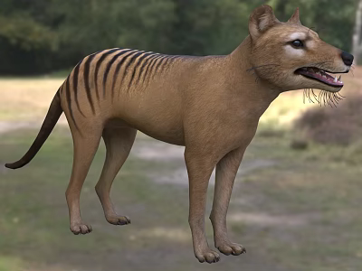Striped Reptile With Long Tail Standing In Natural Grassland Near Dense Forest Background 3d model