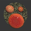 Modern mushroom straw mushroom poisonous mushroom 3d model