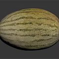 Fresh Ripe Cantaloupe Melon With Netted Skin And Green And Yellow Stripes On Smooth Surface