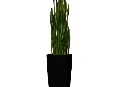 Stylish Bonsai Potted Plant With Green Long Leaves In Black Pot 3d model