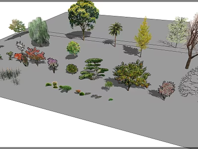 Various Arbor Tree Species In Landscape Design With Different Foliage And Sizes 3d model