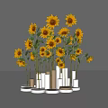 Vibrant Sunflowers Arranged in Modern White Beige and Cylindrical Vases with Round Bases