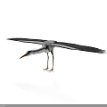 Elegant Egret With Spread Wings And Graceful Posture On White Background
