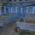 Abandoned Industrial Site With Concrete Tanks Brick Walls Windows And Rusted Floor