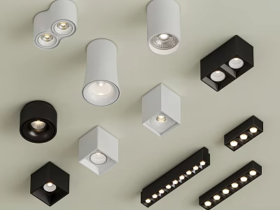 Various Design Downlights And Spotlights In White Black Colors For Home Decoration 3d model
