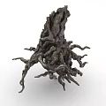 Natural Tree Stump Root System With Intricate Twisted Branches And Rough Textures 3d model