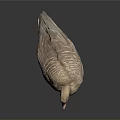 Realistic Brown Duck 3D Model Standing with Orange Feet on Dark Background