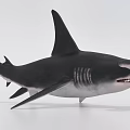 Realistic Black And White Shark 3D Model With Detailed Sharp Teeth And Dorsal Fin
