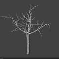 Minimalist White Leafless Tree with Intricate Branch Structure on Gray Background 3d model